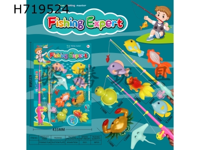 H719524 - Magnetic fishing piece