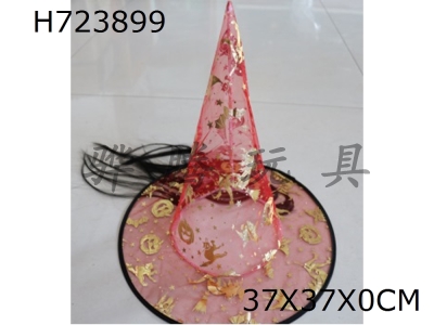 H723899 - Wig mesh witch hat