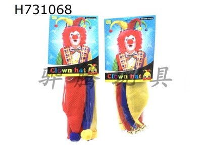 H731068 - clown hat