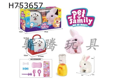 H753657 - Handheld cage electric plush walking rabbit+water dispenser+small accessories