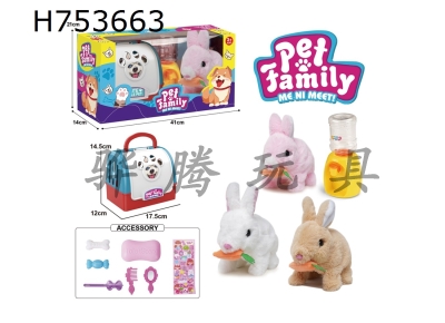 H753663 - Handheld cage electric plush bite radish rabbit+water dispenser+small accessories (3 colors mixed)