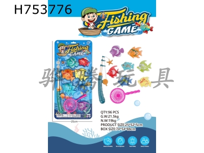 H753776 - Magnetic fishing