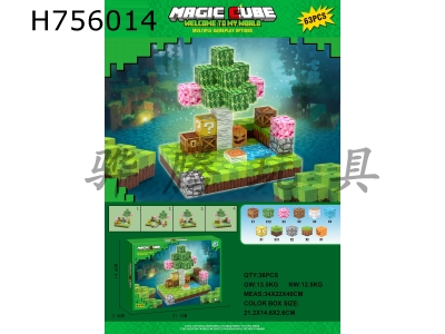 H756014 - My World Cube Blocks (63PCS)