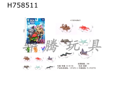 H758511 - Marine&nbsp;assemblage