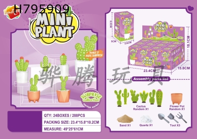 H795909 - Cactus DIY blind box (12 boxes)