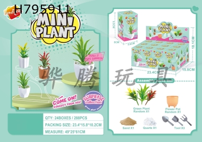 H795911 - DIY blind box for green plants (12 boxes)