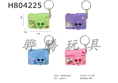 H804225 - Dynamic projection camera