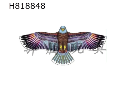 H818848 - 1.65-meter Colorful Purple Sea Eagle Kite Wiring