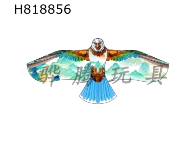 H818856 - 1.8-meter landscape eagle kite wiring 1