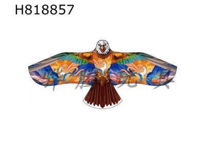 H818857 - 1.8-meter landscape eagle kite wiring 2