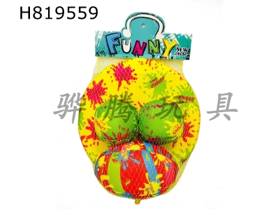 H819559 - Water polo frisbee set