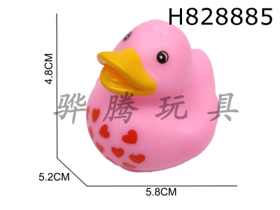 H828885 - Preserved&nbsp;Duck