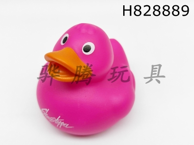 H828889 - Preserved&nbsp;Duck