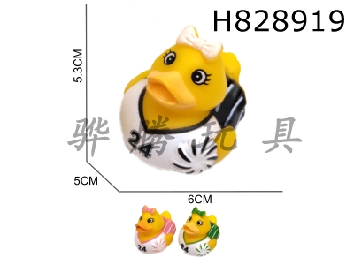 H828919 - Preserved&nbsp;Duck