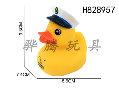 H828957 - Preserved&nbsp;Duck