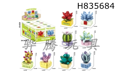 H835684 - DIY&nbsp;Building&nbsp;Blocks&nbsp;succulent&nbsp;stories