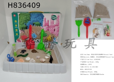 H836409 - Zhongcai&nbsp;Box&nbsp;Natural&nbsp;Shell&nbsp;Beach&nbsp;Sand
