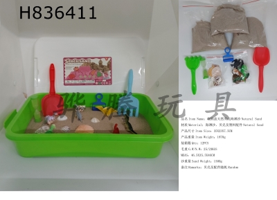 H836411 - Storage&nbsp;Box&nbsp;Natural&nbsp;Shell&nbsp;Beach&nbsp;Sand