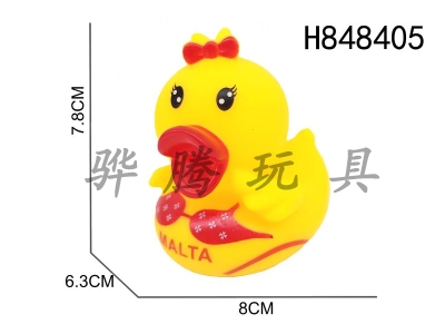 H848405 - Preserved&nbsp;Duck