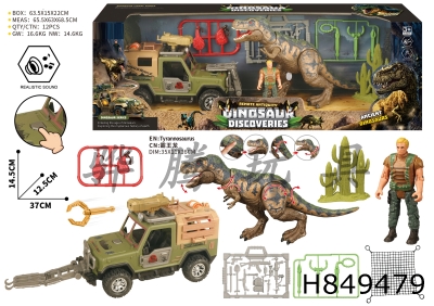 H849479 - Dinosaur&nbsp;Scene&nbsp;Set&nbsp;(with&nbsp;sound)