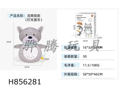 H856281 - Raccoon&nbsp;Projection&nbsp;(Light&nbsp;and&nbsp;Music)