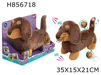 H856718 - Plush&nbsp;Soothing&nbsp;Sausage&nbsp;Dog&nbsp;with&nbsp;Recording&nbsp;Function