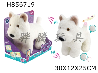 H856719 - Plush&nbsp;Comfort&nbsp;Western&nbsp;High&nbsp;Zone&nbsp;Recording&nbsp;Function