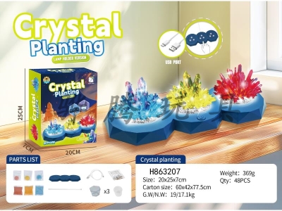 H863207 - Crystal&nbsp;Planting&nbsp;(Lamp&nbsp;Base&nbsp;Version)