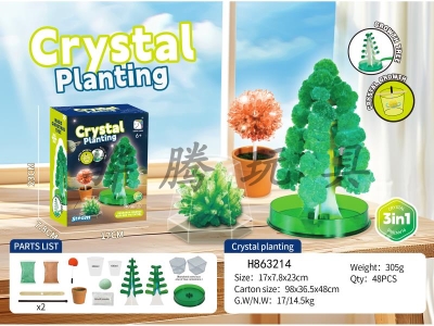 H863214 - Crystal&nbsp;Planting&nbsp;(3-in-1)