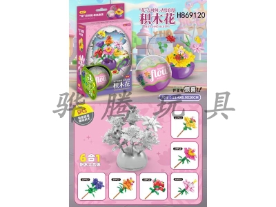 H869120 - ��ľ������ľ����6�